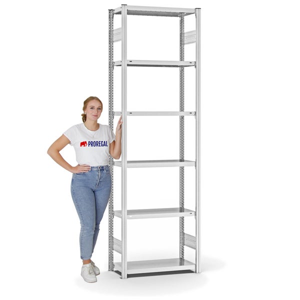 PROREGAL Fachbodenregal Stecksystem T-Profil Light-Duty Grundregal HxBxT 250 x 75 x 30 cm 6 Ebenen Fachlast 150 kg Beidseitig Nutzbar Lichtgrau