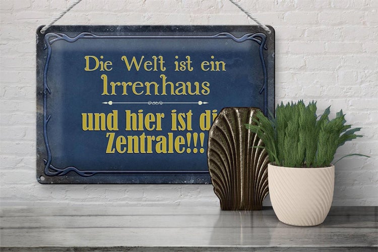 Blechschild Spruch 30x20cm Welt ist ein Irrenhaus und