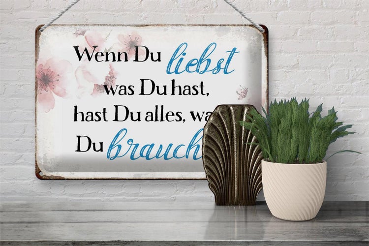 Blechschild Spruch 30x20cm wenn du liebst was du hast