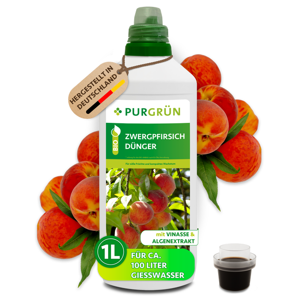 Purgrün Zwergpfirsich Dünger Bio-Konzentrat 1 Liter für circa 100 Liter Gießwasser, mit Dosierkappe, für gesundes Wachstum und viele Früchte.