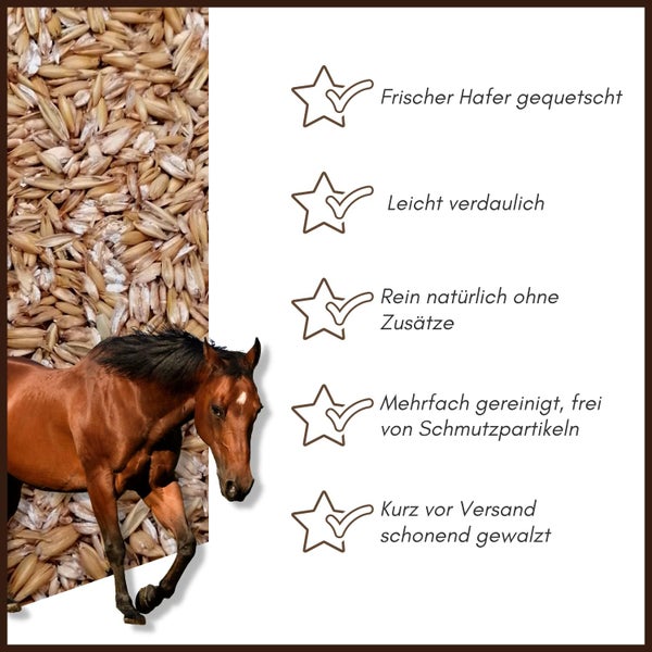 Pferdefutter mit gequetschtem Hafer und Qualitätsmerkmalen