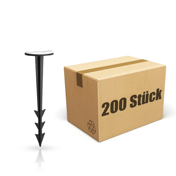 Bodenanker und Karton mit 200 Stück