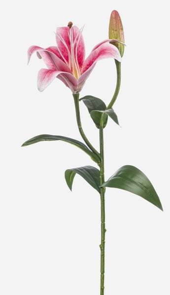 Künstliche Lilie mit einer rosa-weißen Blüte, einer Knospe und grünen Blättern.