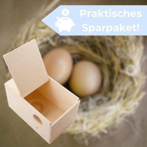 Sparpaket: Nistkasten aus Holz mit zwei Eiern im Nest