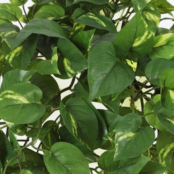 Künstliche Efeutute mit gemusterten grünen Blättern.