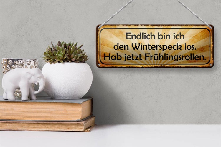 Blechschild Spruch 27x10cm bin den Winterspeck los hab jetzt Frühlingsrollen