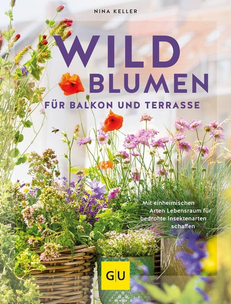 Wildblumen für Balkon und Terrasse Mit einheimischen Arten Lebensraum für bedrohte Insektenarten schaffen