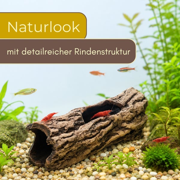 Aquariumdekoration hohler Baumstamm mit strukturierter Rinde in einem Aquarium mit Garnelen, Fischen und Wasserpflanzen.