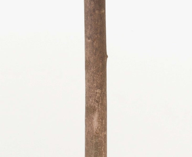 Brauner Holzstab aus Naturholz mit Rinde für den Garten.