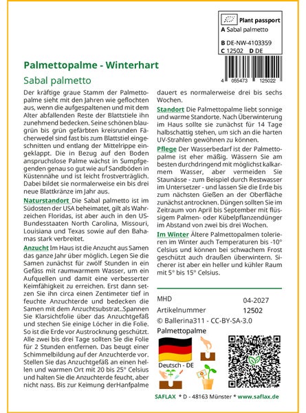 SAFLAX Garden to go - Palmettopalme - Sabal palmetto - 8 Samen - Mit Topf, Klima - Deckel und Anzuchtsubstrat