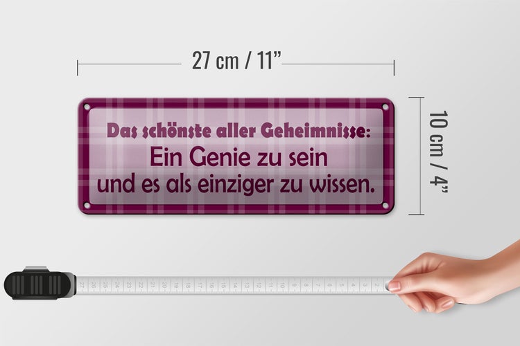 Blechschild Spruch 27x10cm Genie sein und es als einziger wissen