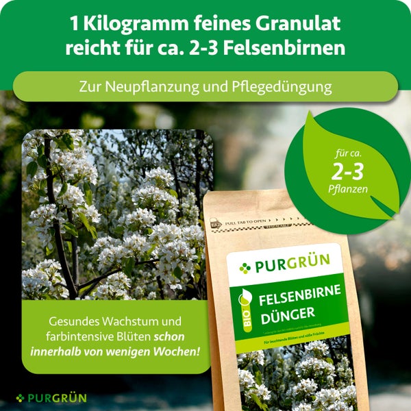 Bio Purgrün Felsenbirne Dünger, ein Kilogramm feines Granulat für circa zwei bis drei Pflanzen, für Neupflanzung und Pflegedüngung. Purgrün Logo.