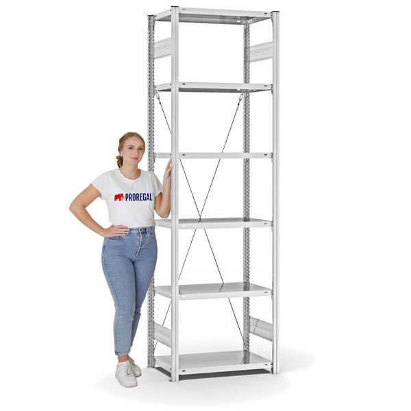 PROREGAL Fachbodenregal Stecksystem T-Profil Light-Duty Grundregal HxBxT 250 x 75 x 40 cm 6 Ebenen Fachlast 145 kg Einseitig Nutzbar Lichtgrau