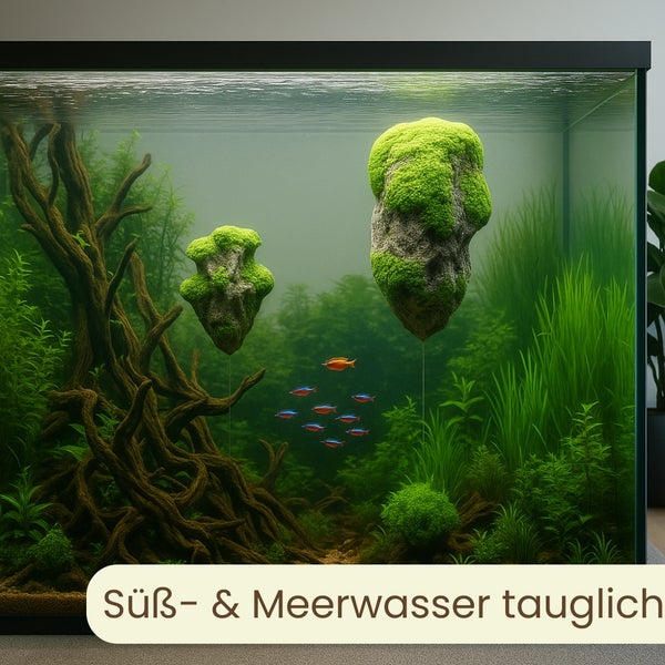 Süß- und Meerwasseraquarium mit Dekorationen und Fischen