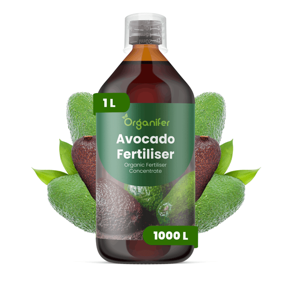 Organifer Avocado Dünger, organisches Düngerkonzentrat, 1 Liter Flasche mit Messkappe und Organifer Logo.