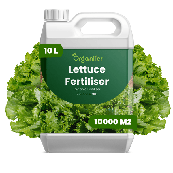 Weißer 10 Liter Kanister Organifer Salatdünger, organisches Düngerkonzentrat für 10000 Quadratmeter, Organifer Logo.