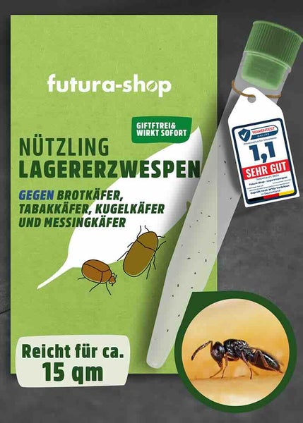 Schlupfwespen - Lagererzwespen gegen Brotkäfer, Tabakkäfer & Kugelkäfer