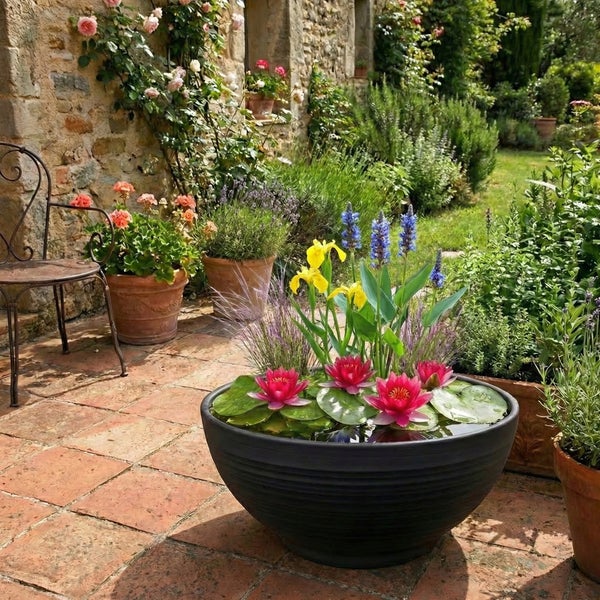 Große dunkle Pflanzschale mit Wasserlilien, gelben und blauen Blumen auf einer Terrasse vor einer Steinmauer im Garten.