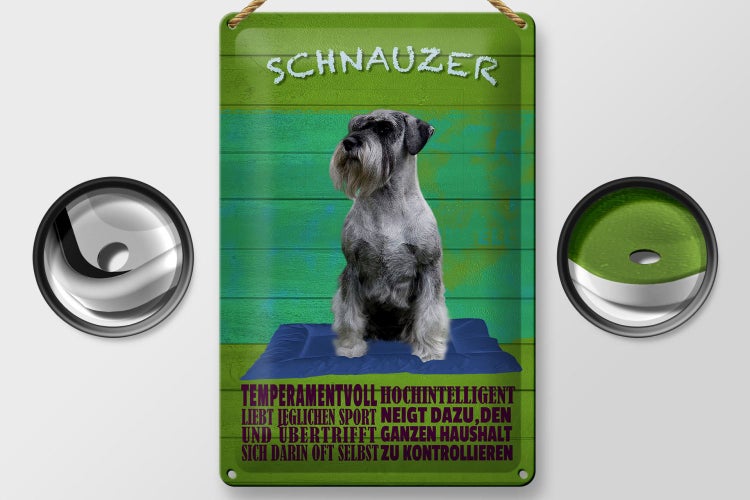 Blechschild Spruch 20x30cm Schnauzer Hund temperamentvoll