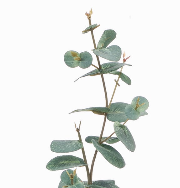 Künstlicher Eukalyptuszweig mit runden grünen Blättern und braunem Stiel.