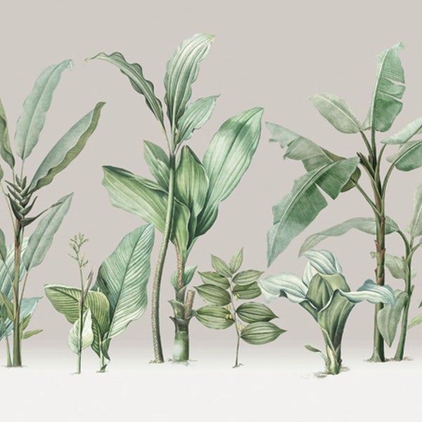 Illustration verschiedener tropischer Pflanzen als Wandgestaltung