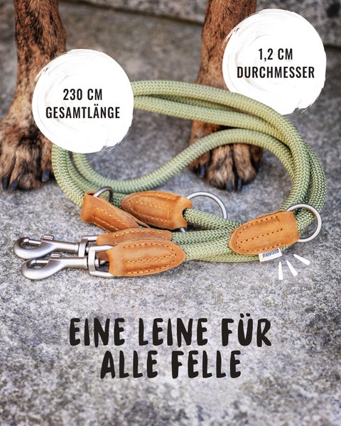 Grüne Hundeleine aus Seil mit Lederdetails und silberfarbenen Karabinern, Gesamtlänge 230 cm, Durchmesser 1,2 cm