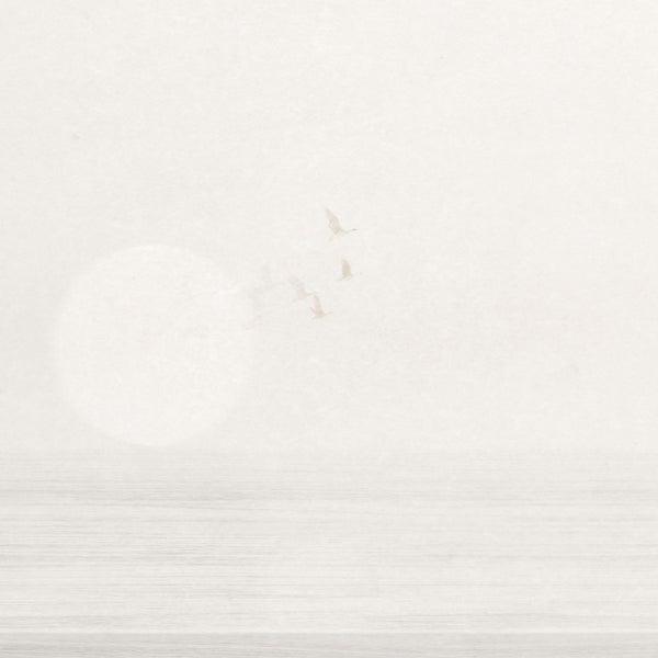 Illustration mit Vögeln über Wasserfläche