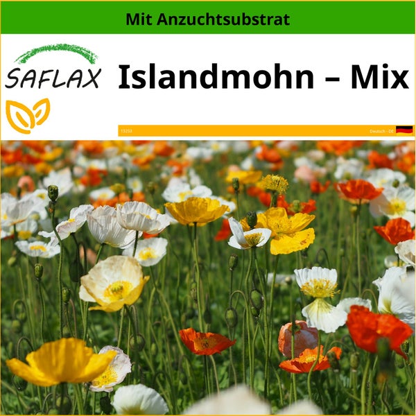 SAFLAX  - Islandmohn – Mix - Papaver nudicaule - 8000 Samen - Mit keimfreiem Anzuchtsubstrat