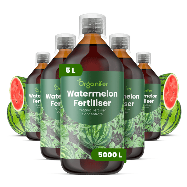 Organifer Wassermelonen-Dünger, organisches Düngerkonzentrat, Set aus Flaschen mit Messkappen.