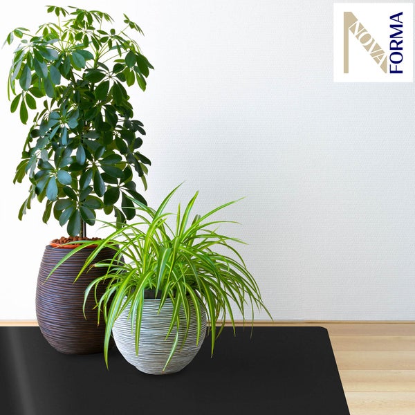 Ein brauner und ein grauer Blumentopf mit Rillenstruktur aus Keramik, bepflanzt mit Grünlilie und Strahlenaralie. NOVA FORMA Logo.