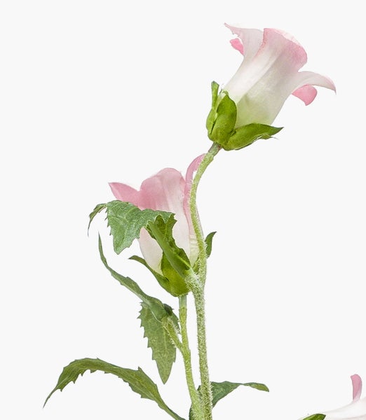 Künstliche Glockenblume mit zwei rosa-weißen Blüten und grünen Blättern.
