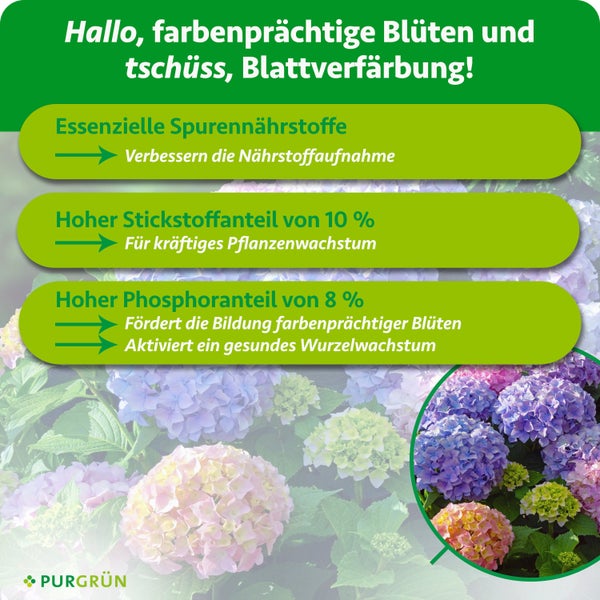 Infografik zu Pflanzendünger mit Vorteilen von Spurennährstoffen, 10 Prozent Stickstoff für Wachstum und 8 Prozent Phosphor für Blüten. Purgrün Logo.
