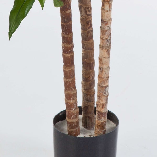 Künstliche Dracaena mit drei braunen Stämmen im schwarzen Topf.
