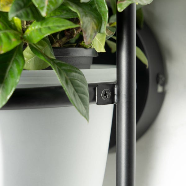 Nahaufnahme eines schwarzen Pflanzenregals mit weißem Pflanzgefäß und grüner Pflanze.