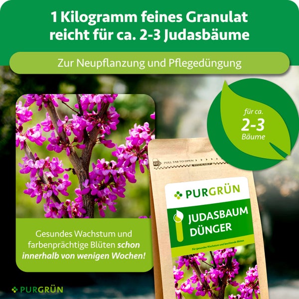 Purgrün Judasbaum Dünger in einer 1 Kilogramm Packung, ausreichend für circa zwei bis drei Bäume, für gesundes Wachstum und prächtige Blüten.