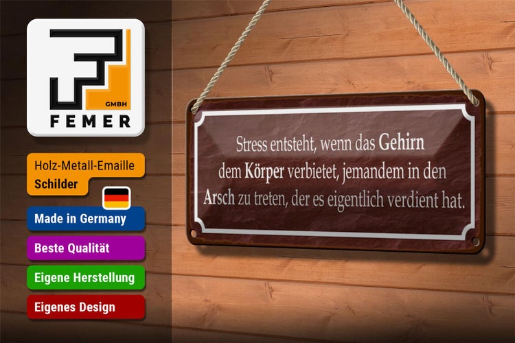 Blechschild Spruch 27x10cm Stress entsteht wenn das Gehirn Dekoration