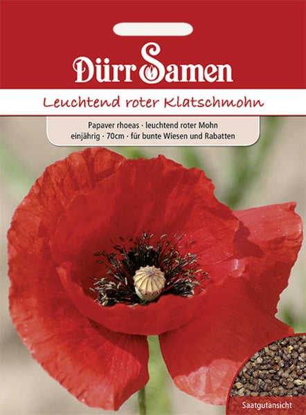 Samentüte Gemüsegarten mit Möhren, Radieschen und Pflücksalat als 5 Meter Saatband, Grüne Fee Logo, Hornbach Logo.