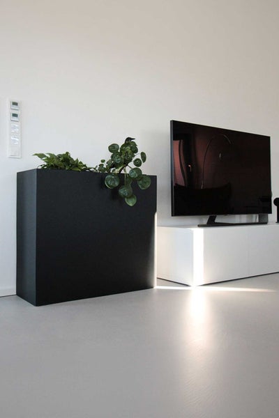 Schwarzer Raumteiler-Pflanzkübel mit grünen Pflanzen in einem modernen Wohnzimmer neben einem weißen Lowboard mit Fernseher.