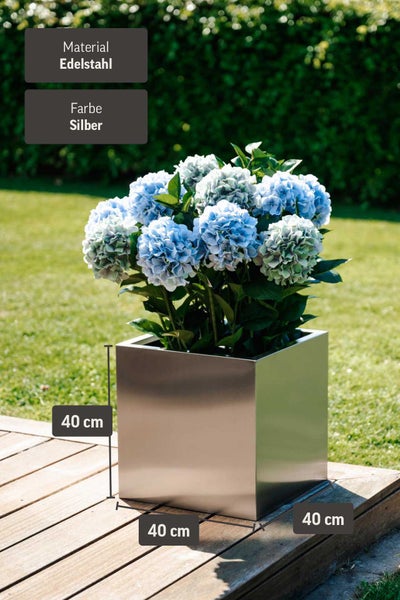 Quadratischer Pflanzkübel aus Edelstahl, Silber, 40 mal 40 mal 40 Zentimeter, bepflanzt mit blauen Hortensien auf einer Holzterrasse im Garten.