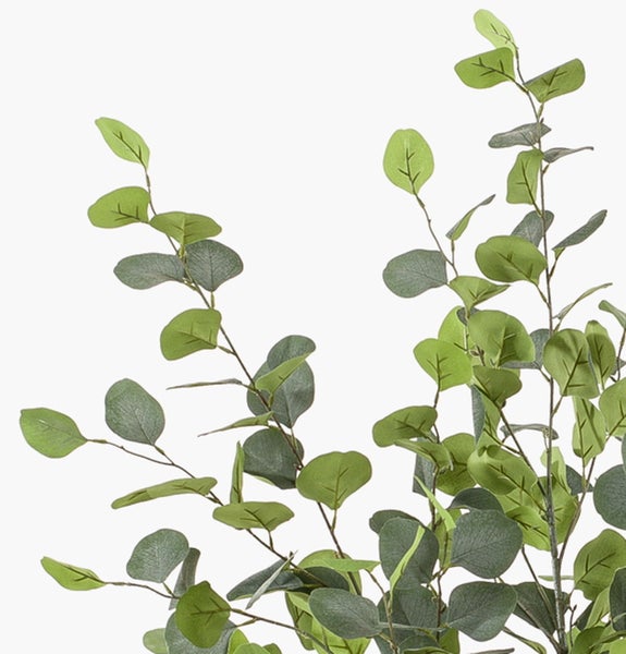 Künstliche Eukalyptuspflanze mit grünen Blättern und braunen Zweigen