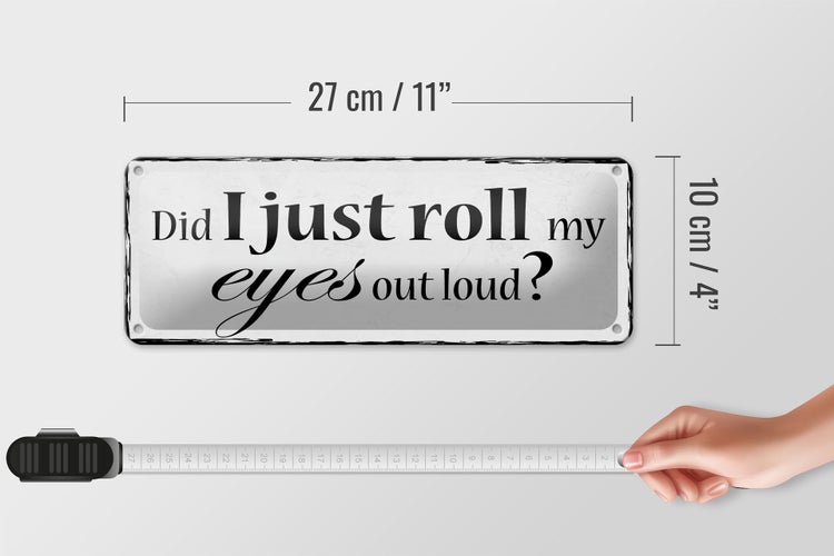 Blechschild Spruch 27x10cm did i just roll my eyes out loud Dekoration