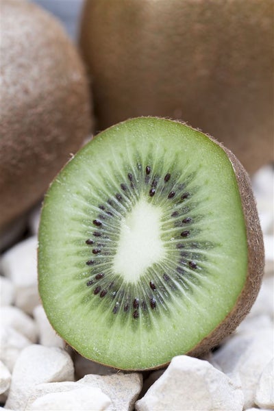 Eine aufgeschnittene Kiwi mit sichtbarem Fruchtfleisch und kleinen schwarzen Samen, vor hellem Untergrund.