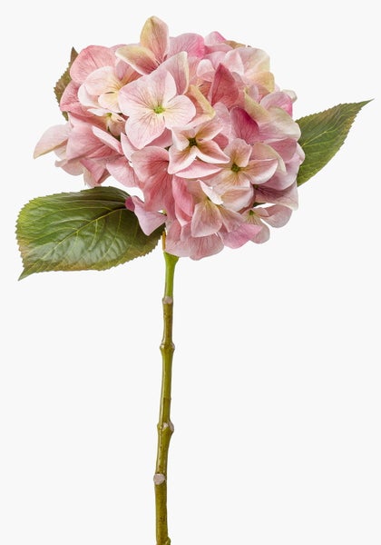 Künstliche Hortensie, Einzelstiel mit rosa Blüten und grünen Blättern.