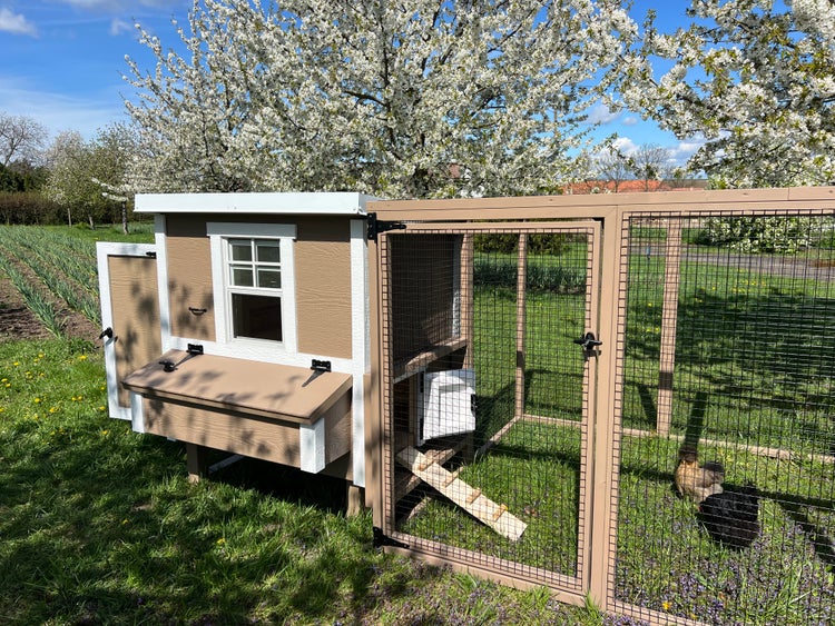 Hühnerstall Mitte EZ Chicken Home 1,68m² 127 x 133 x 158 cm Beige hergestellt in EU