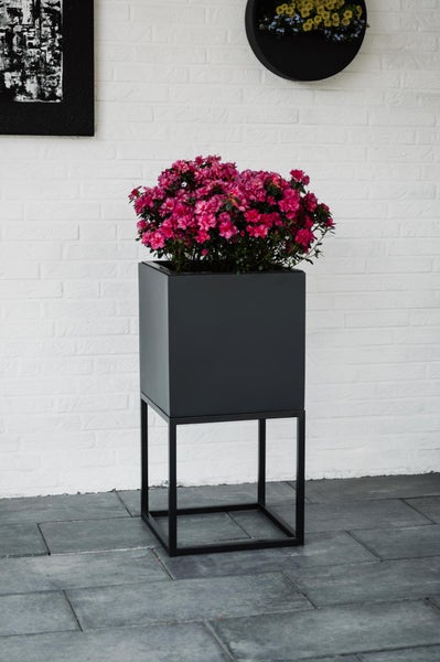 Quadratischer Pflanzkübel in Anthrazit auf schwarzem Metallgestell mit rosa Blumen auf einer Terrasse.