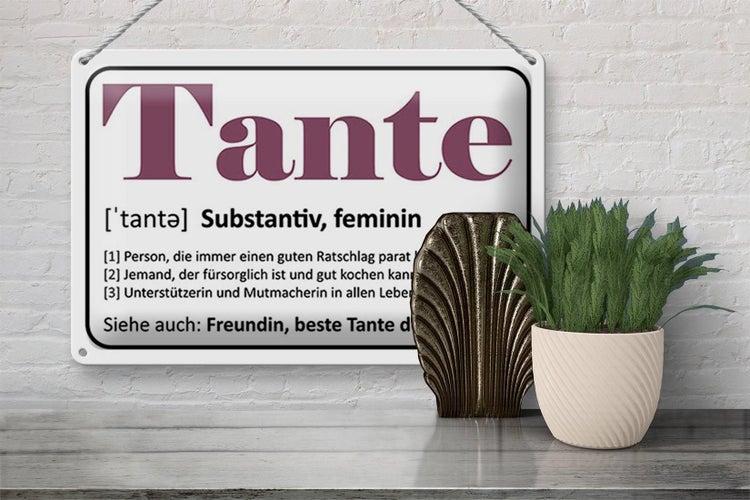 Blechschild Spruch 30x20cm Tante Freundin beste Tante Welt