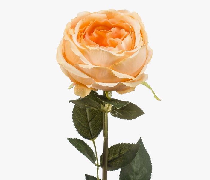 Künstliche Rose in Apricot mit Stiel und grünen Blättern.