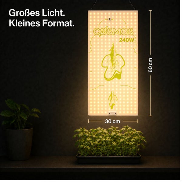 LED Pflanzenlampe Cosmos 240 Watt, Maße 60 mal 30 Zentimeter, rechteckiges beleuchtetes Panel über Pflanzen hängend.