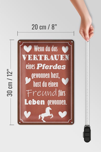 Blechschild Spruch 20x30cm Vertrauen eines Pferdes Freund