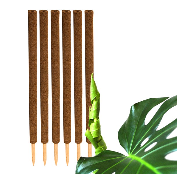 BigDean 6er Set Pflanzstäbe Kokos 110 cm - Monstera Rankhilfe Rankstäbe Stab Moosstäbe Pflanzenstäbe Kokosstäbe für Pflanzen - aus natürlicher Kokosfaser - verlängerbar